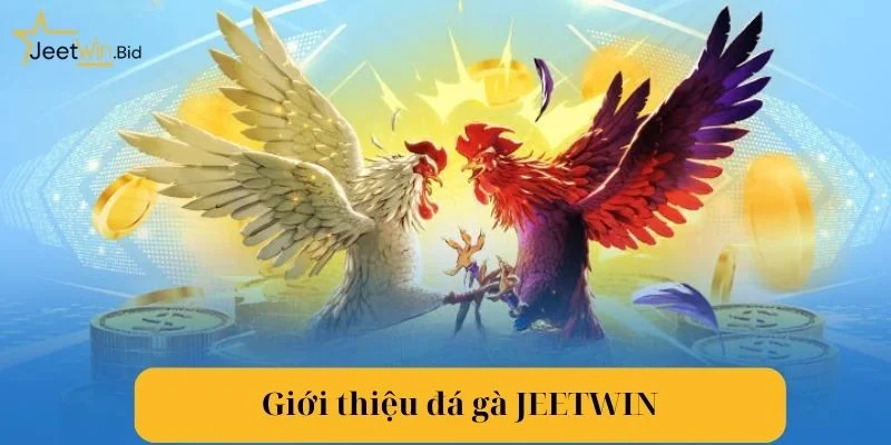 Đá gà Jeetwin đảm bảo trải nghiệm tuyệt đẹp như trong mơ.