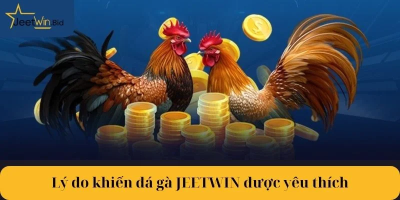 Lý do khiến đá gà Jeetwin là lựa chọn số #1 trong lòng cược thủ.